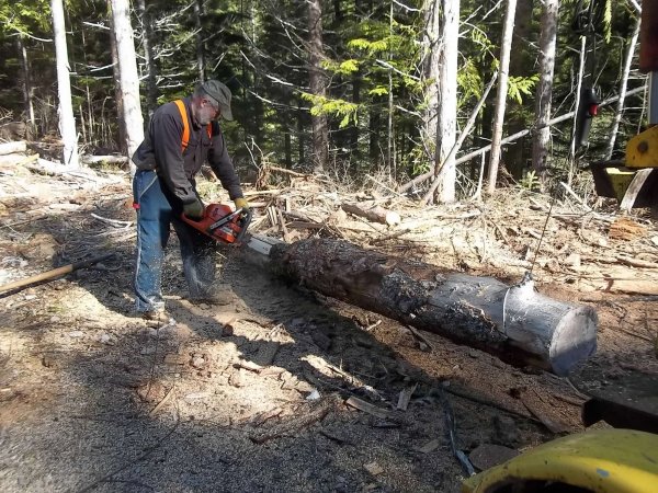 March 30 2016 (13).JPG