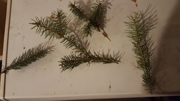 20160403_113736.jpg