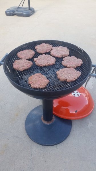 20160404_173920.jpg