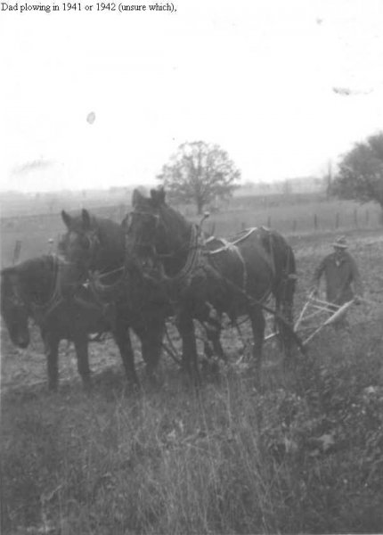 Dad plowing 1942.JPG