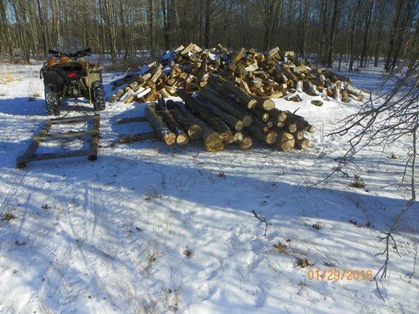 New log stack 1-29-2016.JPG
