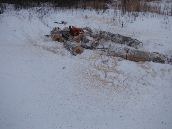 DSCF2417.JPG