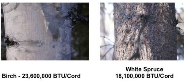sprce btu.jpg