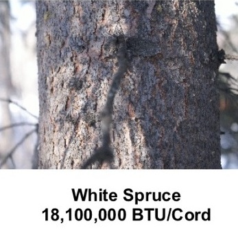 Spruce BTU.jpg