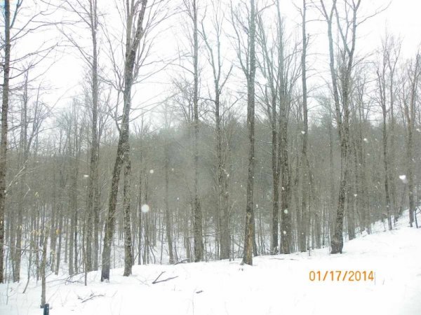100_8458.JPG