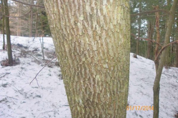 100_8464.JPG
