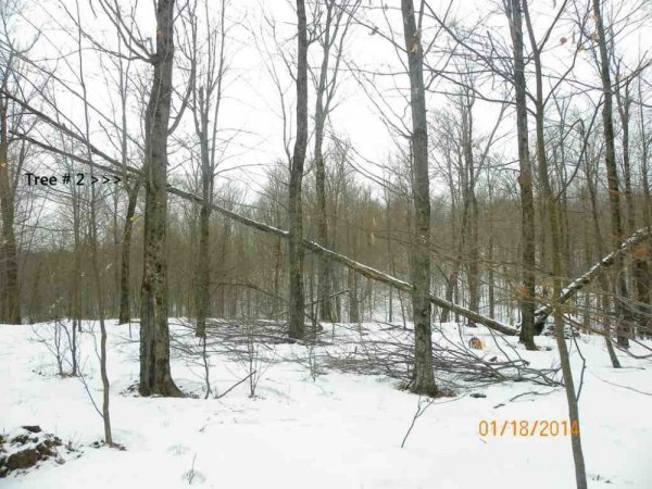 100_8475.JPG