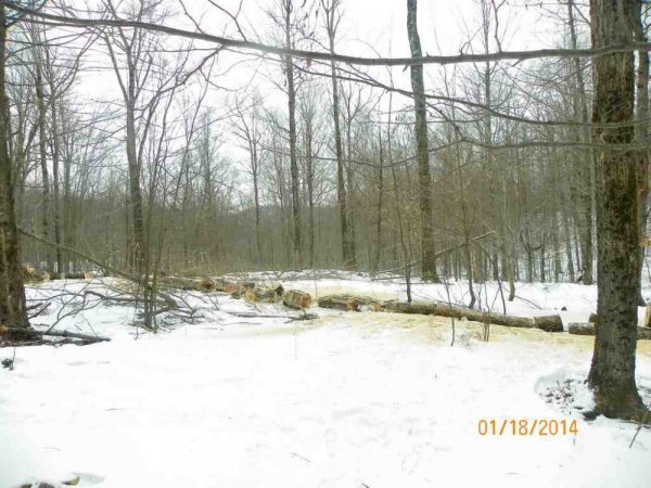 100_8476.JPG