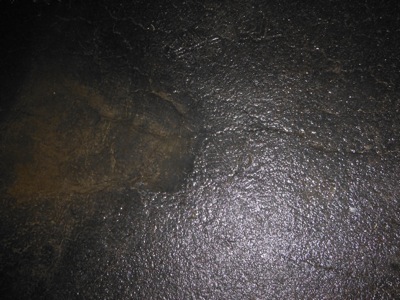 DSCF2482.JPG