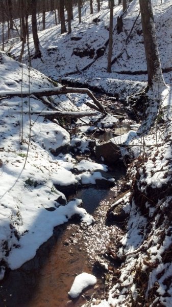 IMG_20140119_140753_941.jpg