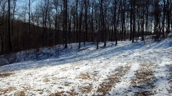 IMG_20140119_141131_851.jpg