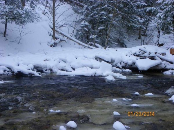 100_8492.JPG