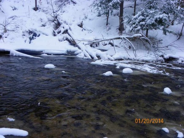 100_8493.JPG