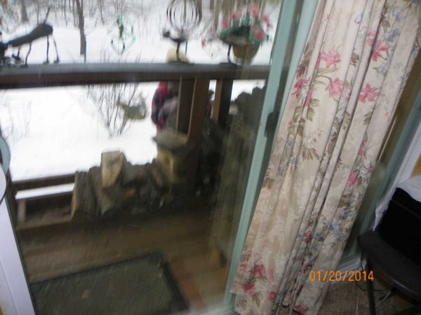 Judy filling wood rack.JPG