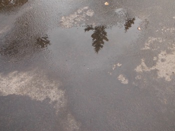 DSCF2505.JPG