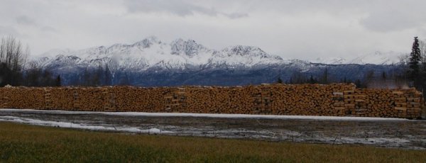 DSCF2539.JPG