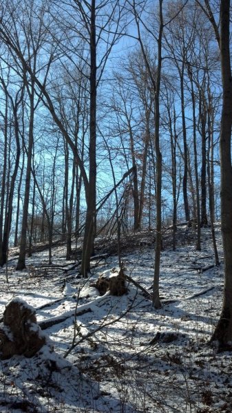 IMG_20140119_141407_457.jpg
