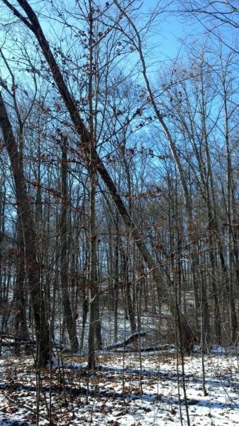 IMG_20140119_143455_343.jpg