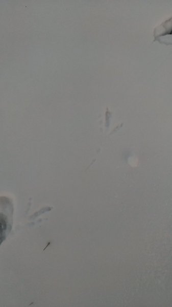 IMAG0492.jpg