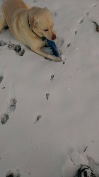 IMAG0493.jpg