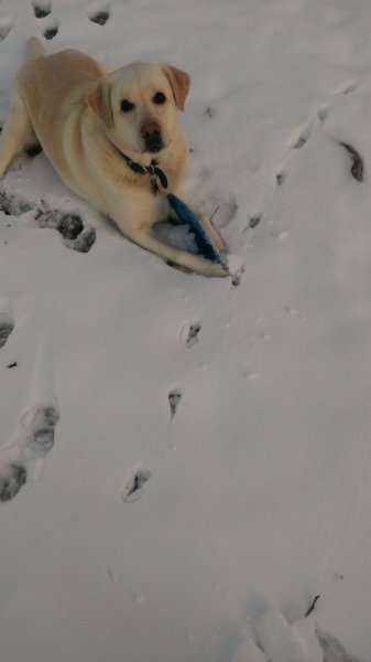 IMAG0494.jpg