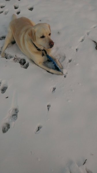 IMAG0495.jpg