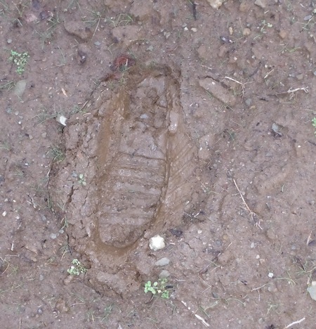 DSCF2562.JPG