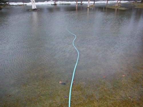 DSCF2550.JPG