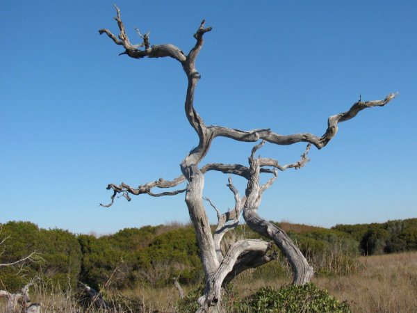 IMG_1141.jpg