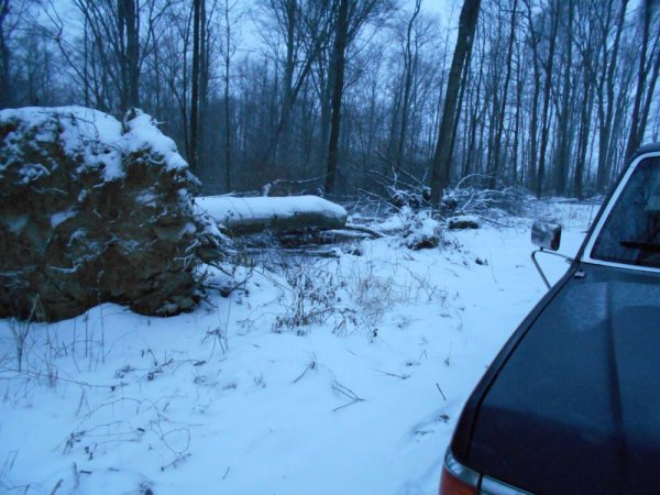 Jan. cutting 004.jpg