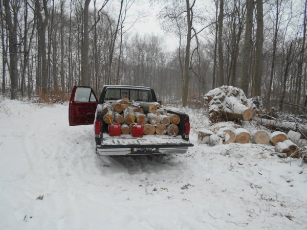 Jan. cutting 007.jpg