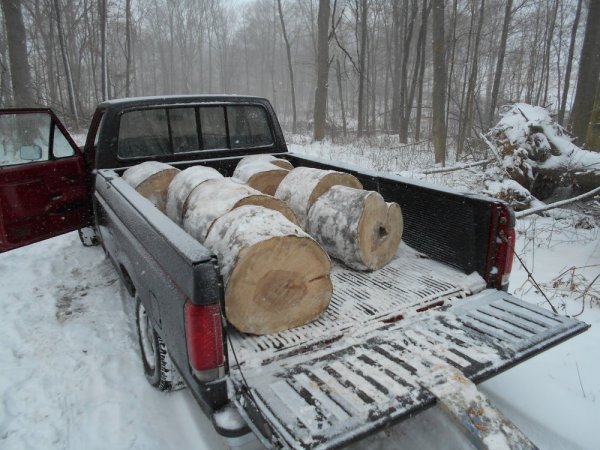 Jan. cutting 010.jpg