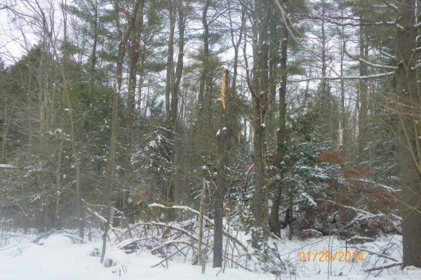 100_8517.JPG