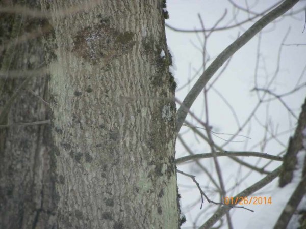 100_8522.JPG