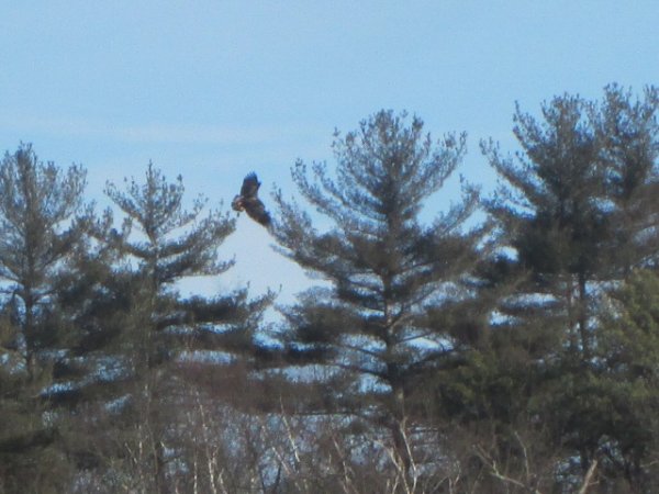 IMG_6732.JPG