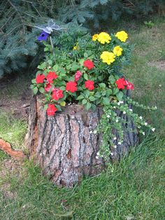 stump flowerpot.jpg