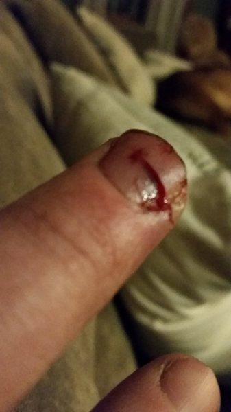20160412_211739.jpg