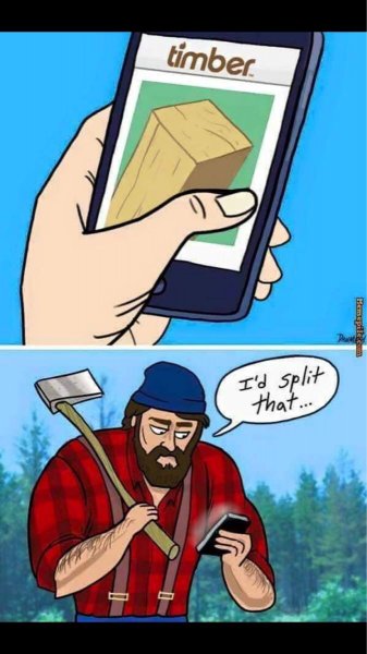 timber I'd split that.jpg