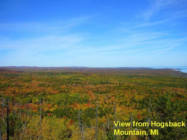 Hogsback view-1.jpg