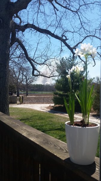 20160417_125949.jpg