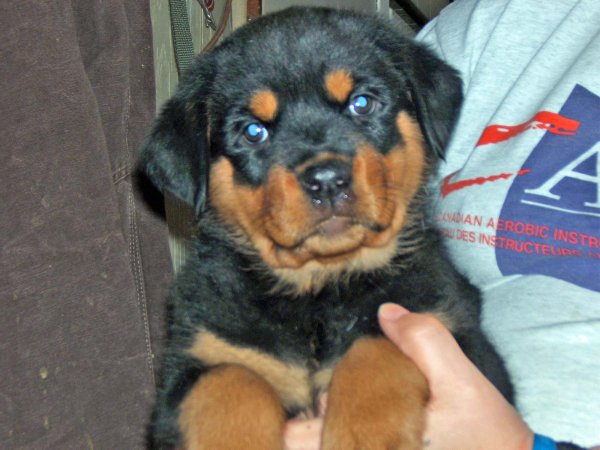 Happy Face @ 8 weeks.JPG