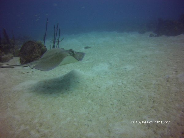 PICT0042.JPG