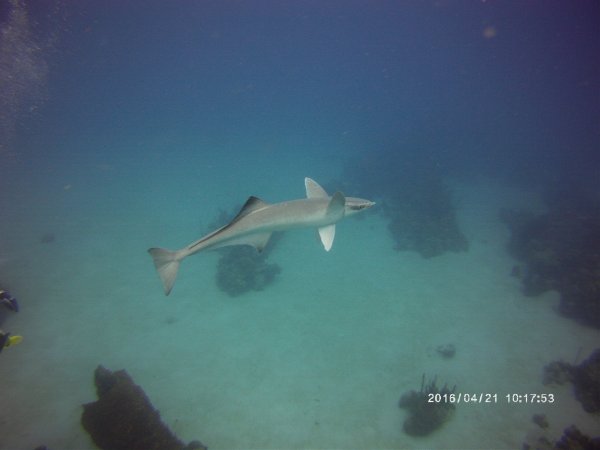 PICT0047.JPG