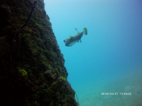 PICT0064.JPG
