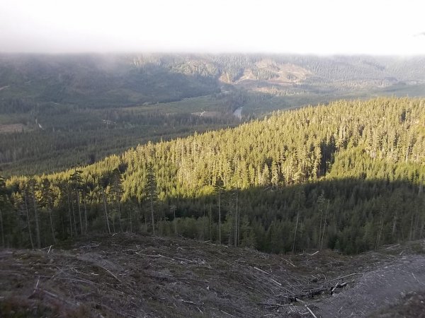 April 28 2016 (5).JPG