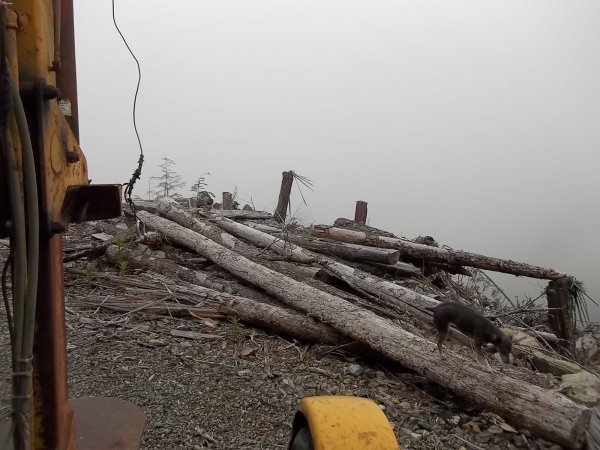 April 28 2016 (1).JPG