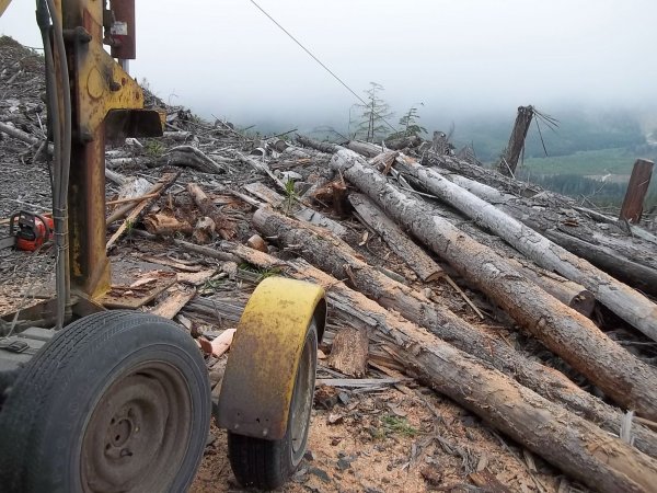 April 28 2016 (3).JPG