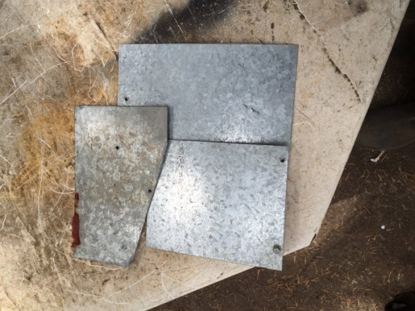 Amboyp2topend13.jpg