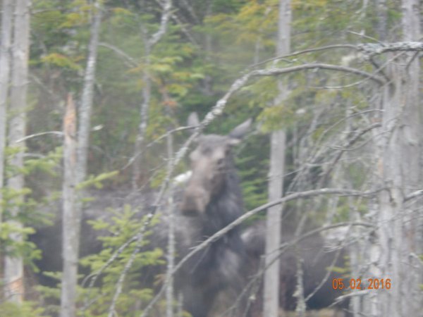 DSCN1075.JPG