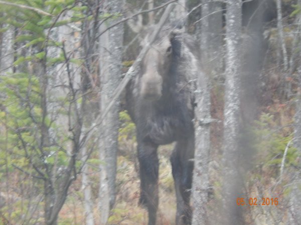 DSCN1077.JPG